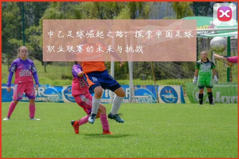 中乙足球崛起之路：探索中国足球职业联赛的未来与挑战
