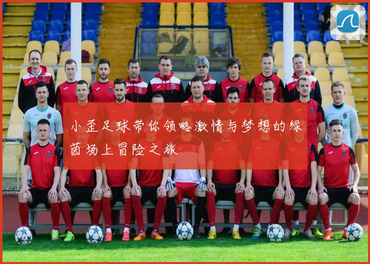 小歪足球带你领略激情与梦想的绿茵场上冒险之旅