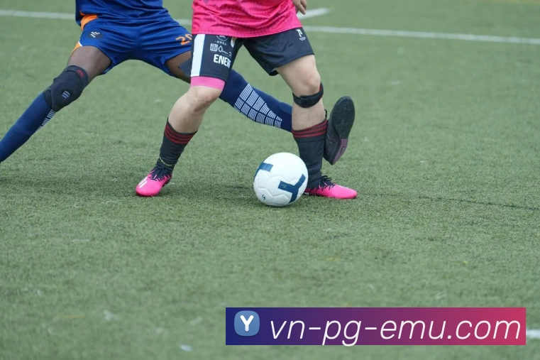 PG中国官方网站平台生态图