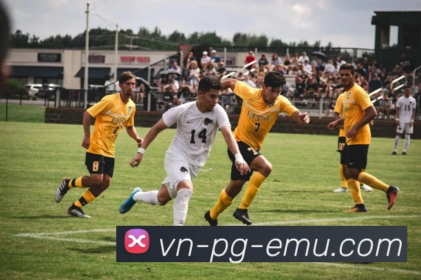 PG中国官方网站全站App